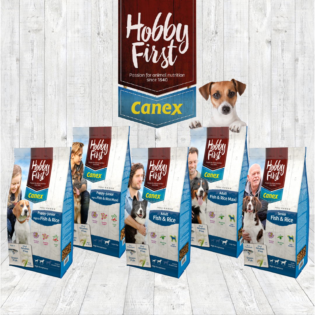 Canex Adult Fish & Rice 12kg – Image 2