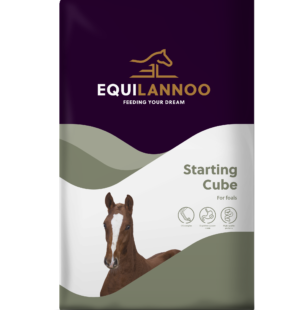 Equilannoo Starting Cube 20 kg