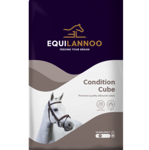 Condition Cube lot de 5